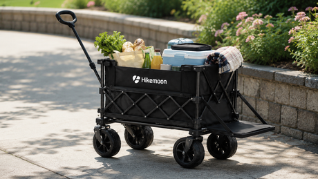 Folding wagon with dual brakes