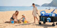 beach wagon