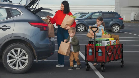 Collapsible Shopping Wagon 
