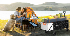 A folding wagon with tailgate