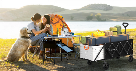 A folding wagon with tailgate