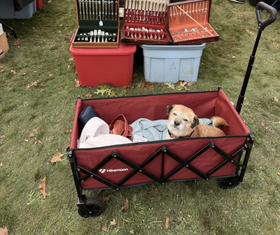 Antique hunting, farmers markets, dog carriage
