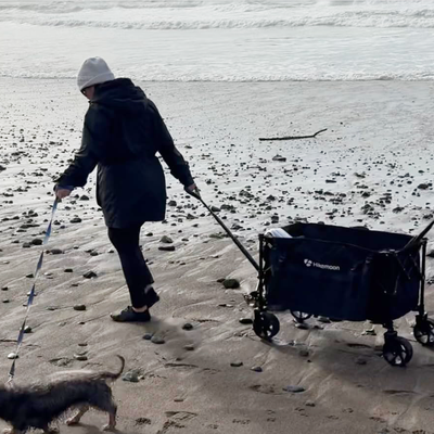 A day at the beach! 🏝️