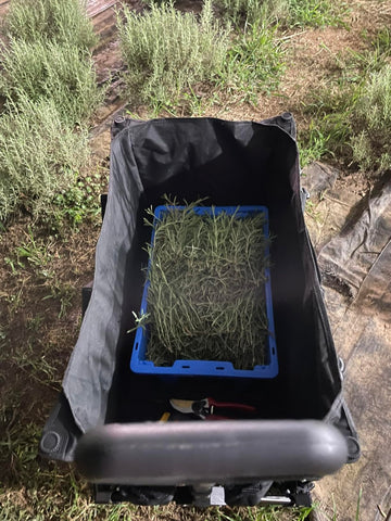 Super Wagon for Hauling What You Need With Ease!