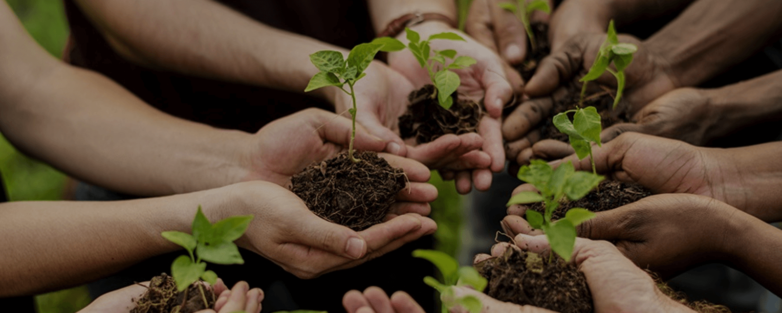 Designed to be used again and again